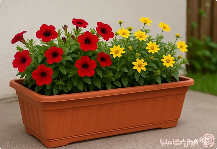 انواع فلاور باکس